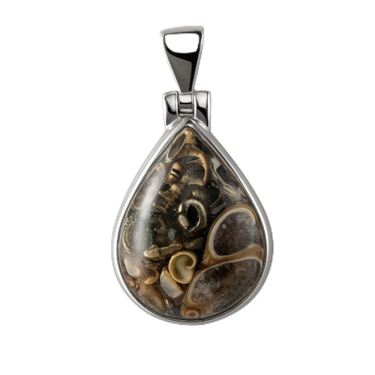 Zilveren fossiel Turritella Agaat druppel kettinghanger