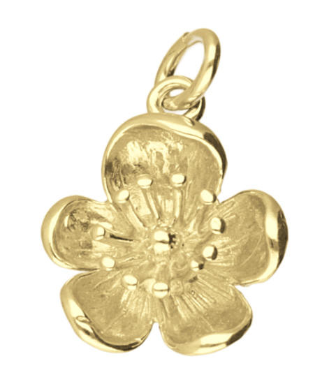 Zilveren Boterbloem ketting hanger 14 karaat goud verguld