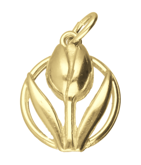 Zilveren Tulp in cirkel ketting hanger 14 karaat goud verguld KHZV-0181